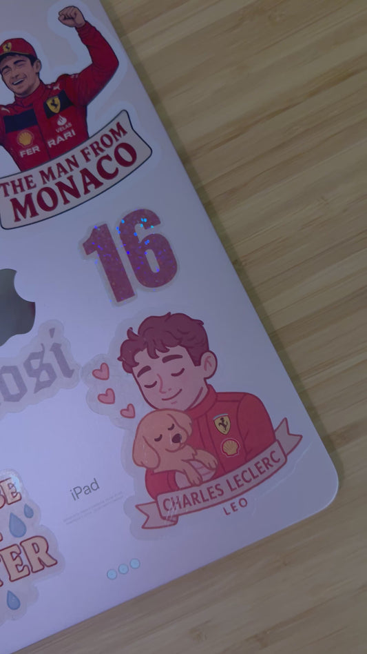 #16 Sticker Pack - 11 Motorsport Inspired Stickers
